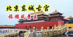 男人和女人日逼的视频中国北京-东城古宫旅游风景区